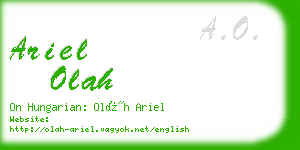 ariel olah business card